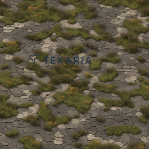 Arcane Ruins Groundwork